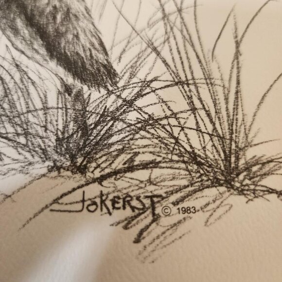 Vint.WESTERN WILDLIFE PORTFOLIO 12 WESTERN WILDLIFE PRINTS B JAMES JOKERST 1983 - Picture 4 of 8